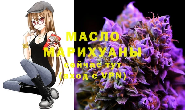 индика Арсеньев