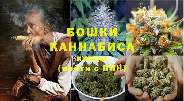 индика Арсеньев