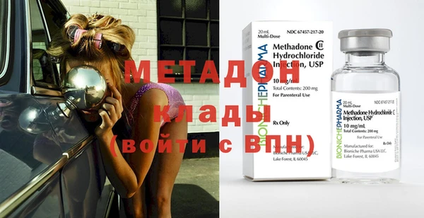 индика Арсеньев