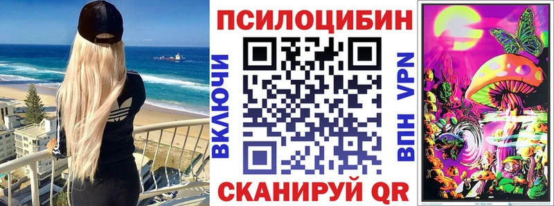 Галлюциногенные грибы Psilocybine cubensis  продажа наркотиков  Неман 